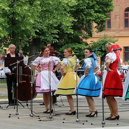 Accommodatie bij particulieren Privat Pri Hradbach Levoča